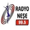 Radyo Neşe