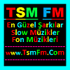 Türk Sanat Müziği FM