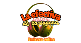 La voz 14 online