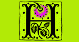 Harman Radio
