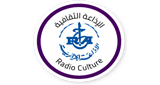 Radio Culture