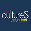 Radio Cultures Dijon