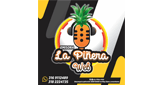 La Piñera Web