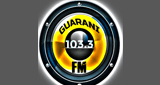 Radio Guarani Fm 103.3