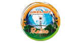 Likes Net Radio ONLINE