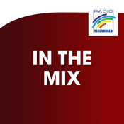 Radio Regenbogen - In The Mix
