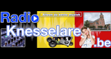 Radioknesselare