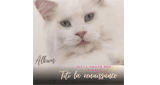 Radio titi l'amour des animaux