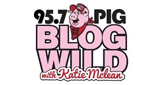 The Big Pig - Today's Sizzlin' Country