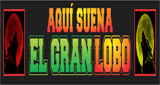 El Gran Lobo
