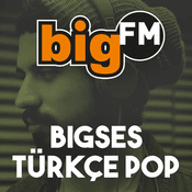 bigSES
