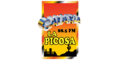 Galaxia La Picosa