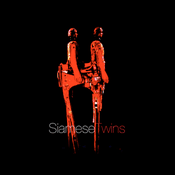 SiameseTwins
