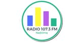 Радіо Надвірна 107.3 Fm