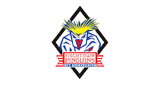 Fischtown Pinguins