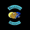 Bisontes Fm