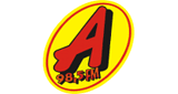 Rádio Ação FM