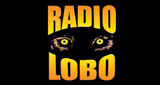 Radio Lobo