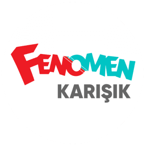 Fenomen Karışık