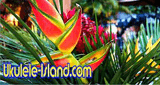Aloha Joe's Ukulele Island Radio