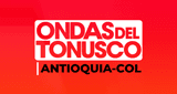 Ondas del Tonusco