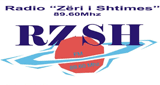 Radio Zeri i Shtimes