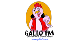 Gallo FM