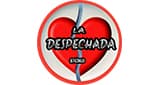 La Despechada Stereo - Casabianca