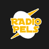 Radiopels
