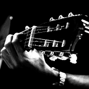 Radio Caprice - Acoustic Guitar