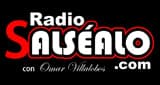 Radio Salsealo