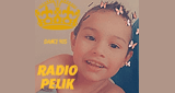 Radio Pelik