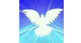 Radio Alas de Cristo Online