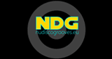NuDiscoGrooves