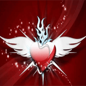 Starlight-Radio