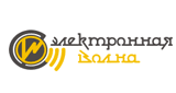 Электронная волна