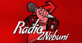 Radio2Nebuni