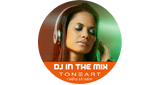 DJ In The Mix | Toneart