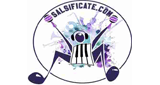 SALSIFICATE.COM