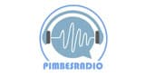 Pimbes radio