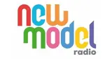 New Model Radio