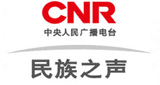 CNR National Voice